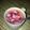 Cooksnap dari Little Ferdian untuk resep Cucumber Lemon Squash