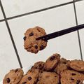 Molly 的 超鬆脆巧克力曲奇餅乾🍪 cooksnap