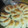 El cooksnap de Edith Edita cuando hizo Empanadas de Vigilia.