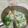 簡敏慧 的 清甜の蘿蔔玉米排骨湯 cooksnap