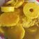 Cooksnap dari Linda Kristantini untuk resep Gulai rebung