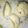 Fakhra Rubab's cooksnap of when they made Rass Malai.