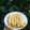 Cooksnap dari Herliani ✅ untuk resep Long Potato