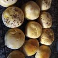 El cooksnap de GPIOVANO cuando hizo Pan casero muy esponjoso.