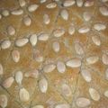 صورة من سوزان شوقي 💖💟، شاركها بعد تجربة وصفة بسبوسه بالنسكافيه 😋