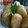 Cooksnap dari Bunda AlCle untuk resep Gemblong