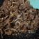 Cooksnap dari herlin rahmawati untuk resep Beef Teriyaki