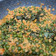 Cooksnap dari Niken Soemjar untuk resep Tumis Oncom Kemangi Leunca Pedas