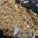 Cooksnap dari M.R.H untuk resep Mie Goreng Pedas Manis Ekonomis ala Mie Gacoan