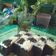 Cooksnap dari Yulita Sari untuk resep Cake Potong Coklat Lembut