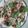 Bhavna Lodhiya's cooksnap of when they made દહીંવડા (Dahi Vada Recipe In Gujarati).