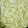 El cooksnap de Anaeli cuando hizo Spaghetti verde de pimiento.