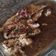 El cooksnap de Carla cuando hizo File de merluza al horno con puré.