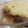 Shara's cooksnap of when they made Easy Traditional Irish Shepherd's Pie.