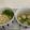 Cooksnap dari nianurhasanah untuk resep Mie Yamin (Asin dan Manis)