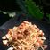 Cooksnap dari NADIA ANGELICA NUGROHO untuk resep Aglio e Olio