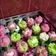 Cooksnap dari Ni Wa untuk resep Bolu Kukus Simple