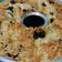 Cooksnap dari Herlina Rahayu untuk resep Brudel cheese cake