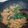 Cooksnap dari Nunik Dewi Astutik untuk resep Mie telor goreng