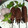 Tripti Gautam's cooksnap of when they made Soya Sattu Seekh Kebab.