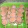 Cooksnap dari Dapur Duo El untuk resep Sate sosis gulung
