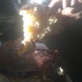 El cooksnap de Ludani cuando hizo Torta Matera De Limón🍋🍋🍋.