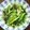 庭秀 的 青江菜炒鴻禧菇 cooksnap
