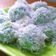Cooksnap dari Intan Jo untuk resep KLEPON KETAN Isi GULA MERAH