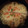El cooksnap de Krlos Villanueva cuando hizo Okonomiyaki cubano.
