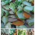 Cooksnap dari Dapur Yas untuk resep Capjay Kuah Sederhana