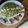 El cooksnap de Maykeel Ochoa daboin cuando hizo Espagueti en salsa de espinacas.