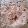 Sheenay Khan's cooksnap of when they made Naan bread.