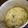 Cooksnap dari oyya untuk resep Opor ayam