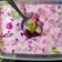 Cooksnap Dayang Farhana semasa beliau membuat Fruit Cocktail.