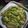 Moubani Das Biswas's cooksnap of when they made ক্যাপ্সিকাম পাস্তা (Capsicum pasta recipe in Bengali).