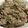 NSarmento's cooksnap of when they made Gourmet Mushroom Risotto.