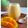 Cooksnap dari Rara Baabud untuk resep Jus Mangga Original