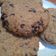 Cooksnap dari Conita untuk resep Chocochip Soft Cookies
