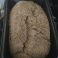 El cooksnap de Emelin Pereyra cuando hizo Pan integral con semillas 🍞.