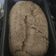 El cooksnap de Emelin Pereyra cuando hizo Pan integral con semillas 🍞.
