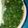 Dan Chefa's cooksnap of when they made Ugali, Managu(African nightshade) and beef.