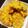Cooksnap dari Rahma untuk resep Perkedel jagung