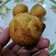 Cooksnap dari C untuk resep Roti goreng simple