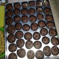 Cooksnap dari Suratih Ratih untuk resep #12 Brownis kering mini