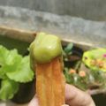 Cooksnap dari Ihsanti aida untuk resep Churros