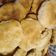 El cooksnap de adrimponce cuando hizo Tortitas con chicharrón (mendocinas).