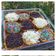 Cooksnap dari Erma Setyawati untuk resep Martabak mini