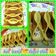 Cooksnap dari Siaty Ummu Ahza Zhilal untuk resep Kue dadar simple anti gagal (kue manja)