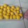 Cooksnap dari eni halim untuk resep Milk Ball (Bola Susu)