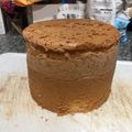 El cooksnap de Aldana Marino cuando hizo Bizcochuelo alto molde 14 cm.
